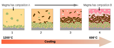 Fractioanl crystallisation of magama ccurs when the melt cools. More dense minerals crsytallise first and sink to the bottom of the magma chamber