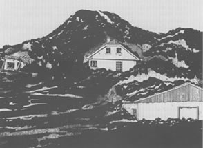 Eldfell buried house USGS