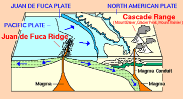 Mt Rainier is formed by the subduction of the Juan de Fuca plate beneath the North American Plate forming the Cascades Subduction Zone USGS